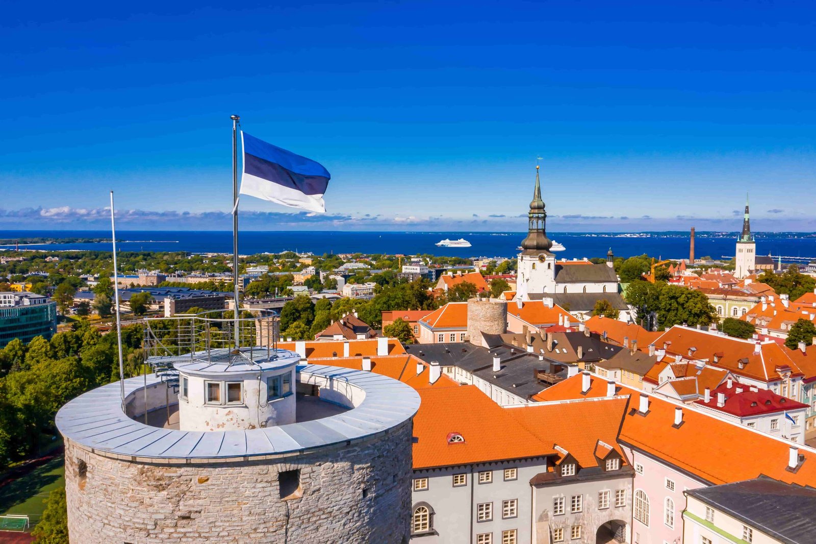 What to do in Tallinn
