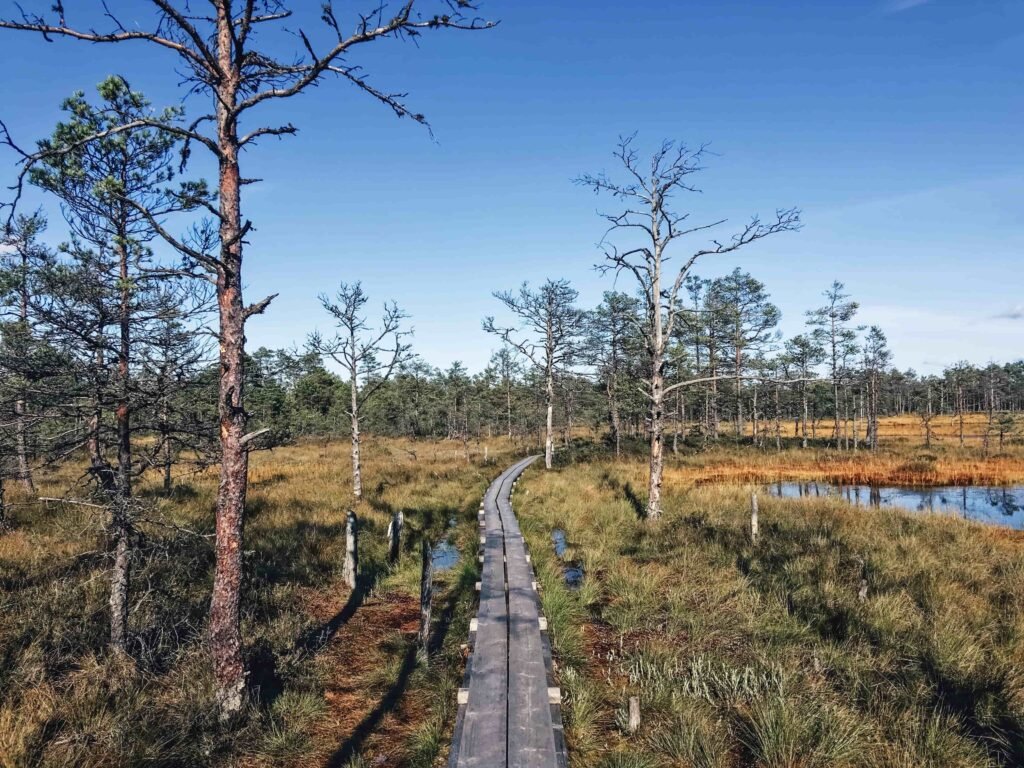 Baltic State National Parks